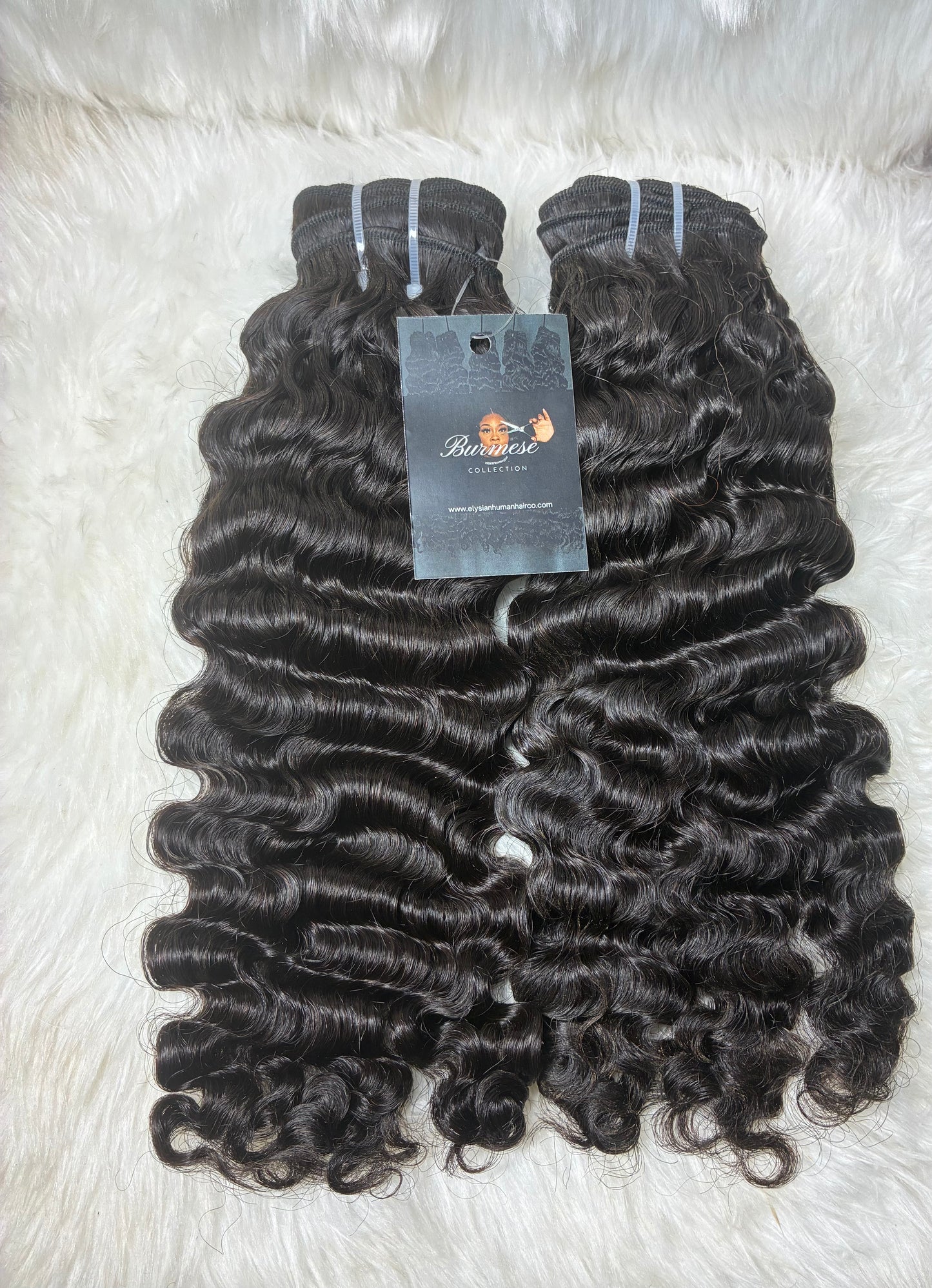 Burmese Curly