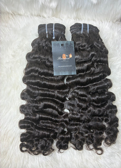 Burmese Curly