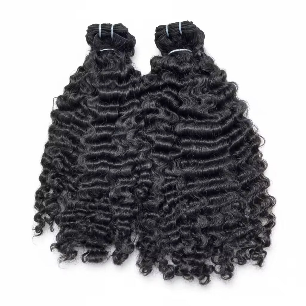 Burmese Curly