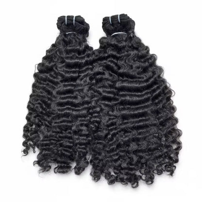 Burmese Curly
