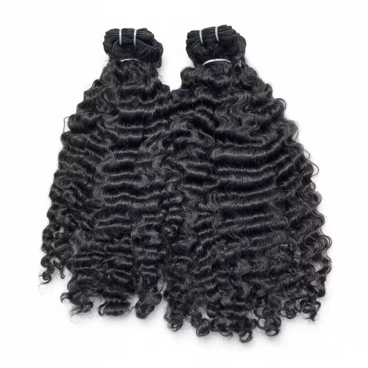Burmese Curly