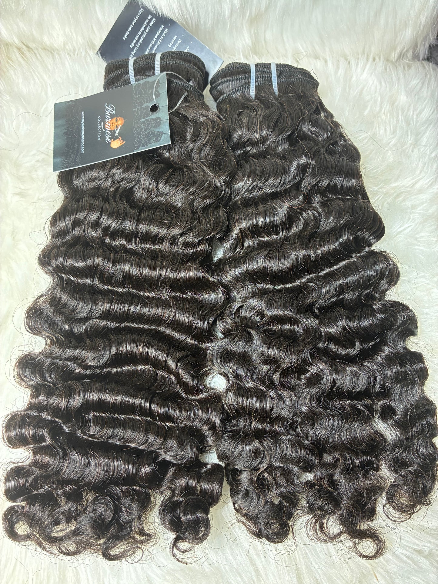 Burmese Curly