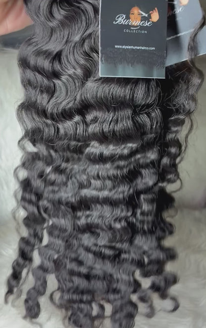 Burmese Curly